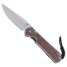 Chris Reeve Large Sebenza 31 Folding Knife Glass Blasted Titanium & Natural Canvas MagnaCut Tanto L31-1234
