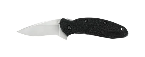 Kershaw 1620 Scallion SpeedSafe Assisted Flipper - 2.4" Plain Edge 420HC Blade - Black GFN Handle