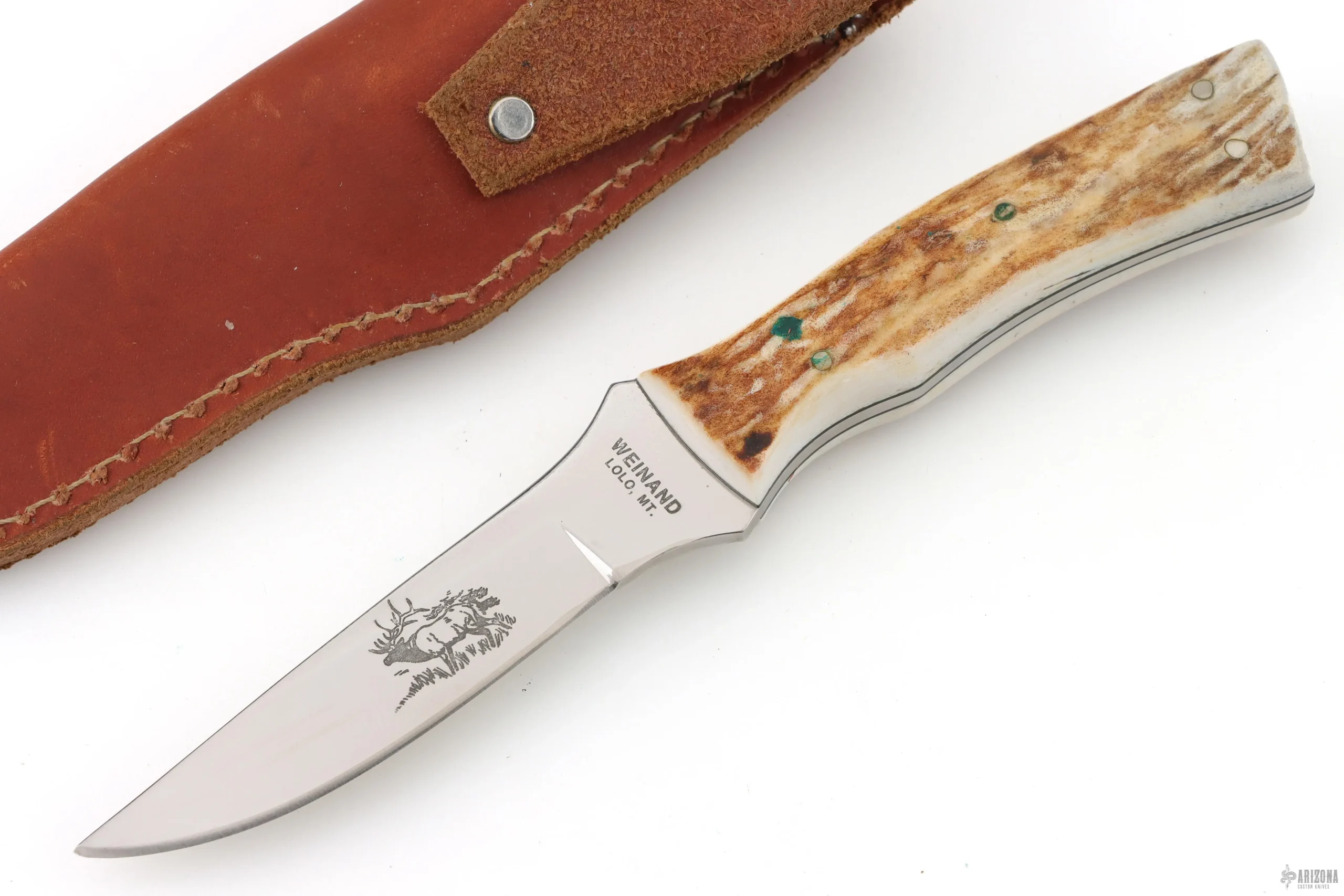 Stag Hunter - Dendritic D2